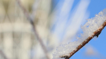 Фотография к новости: В Астане отменили занятия для учащихся второй смены