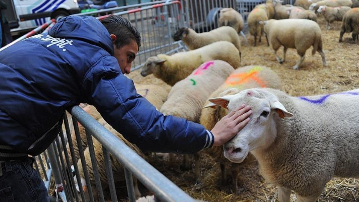  Из открытого источника 