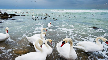 Фотография к новости: В Баку началось заседание рабочей группы по вопросам Каспия 