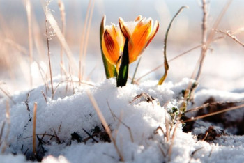 Фотография к новости: Синоптики рассказали о погоде в Казахстане 14 марта