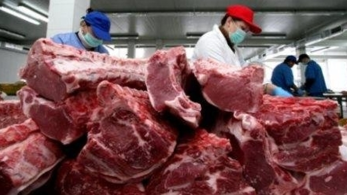  Иллюстративное 