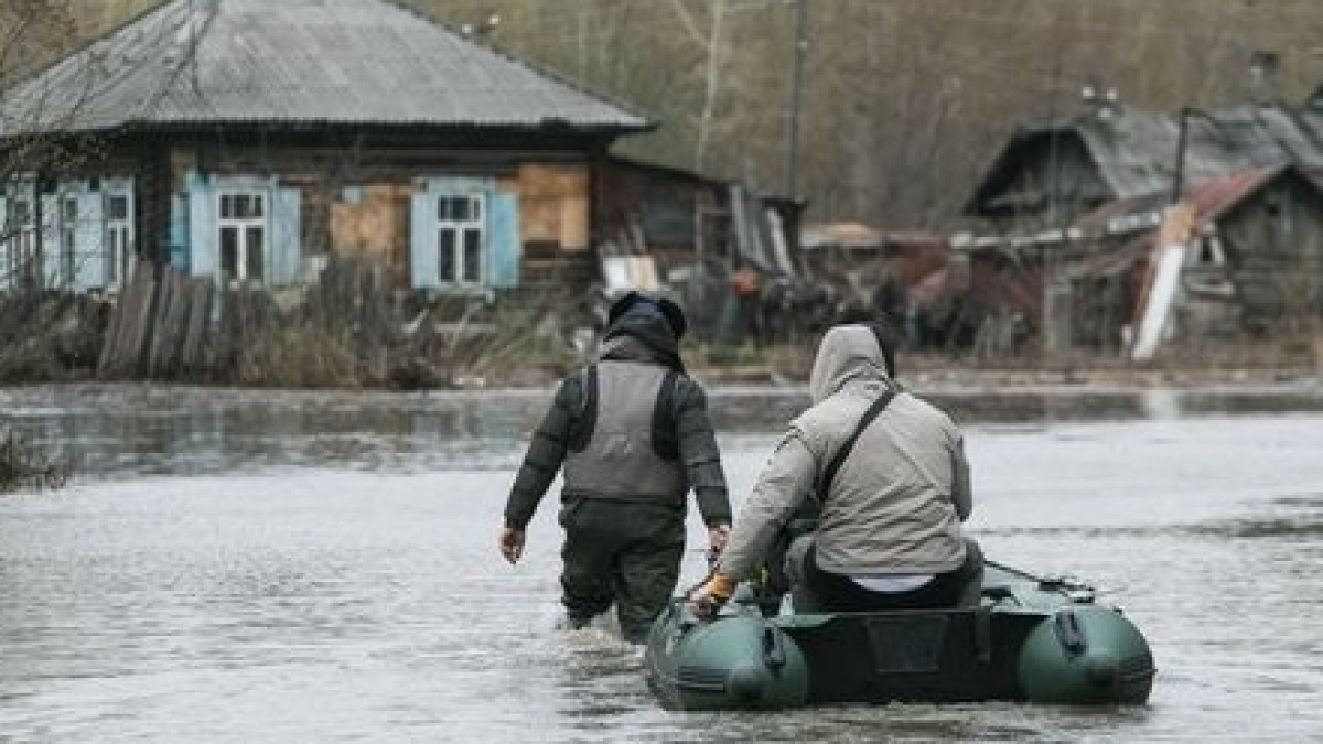  Из открытых источников 