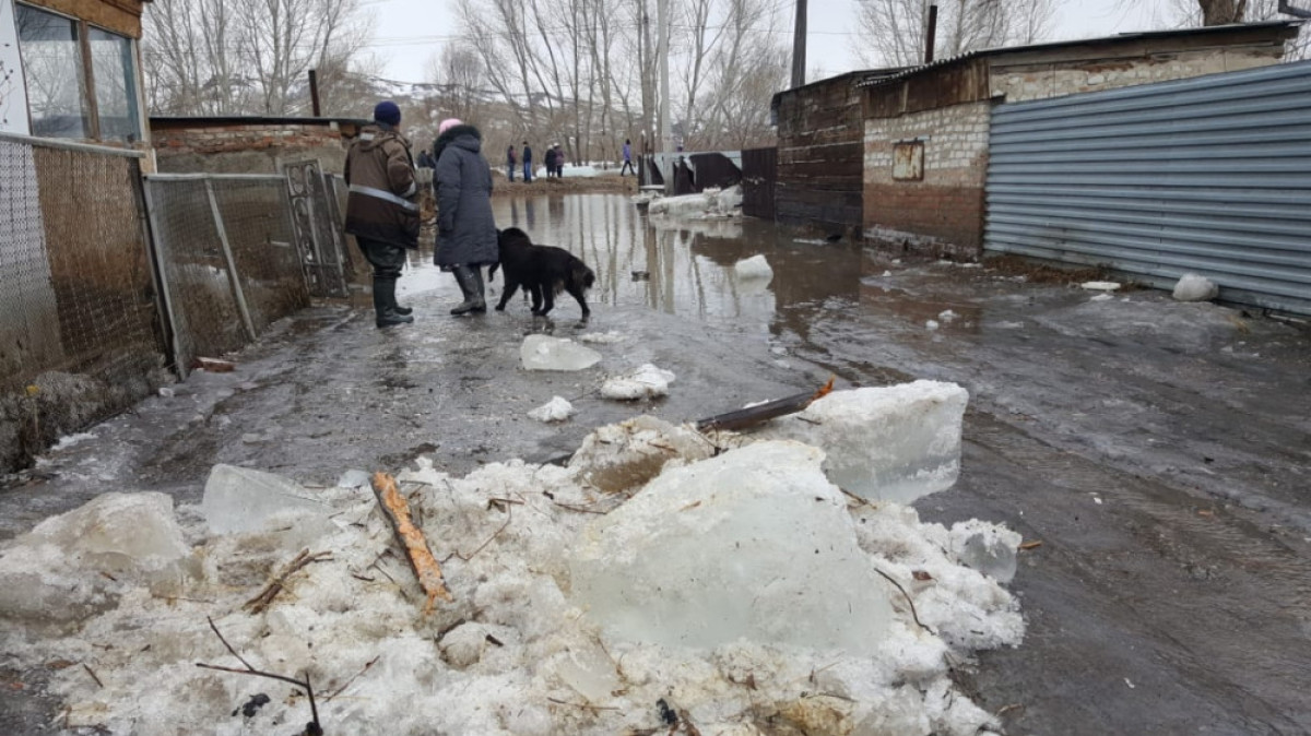  инфоцентр ВКО