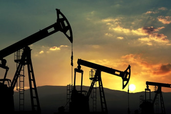 Фотография к новости: Нелегальным оборотом нефти обеспокоена казахстанский депутат