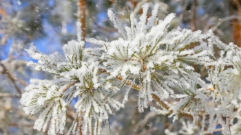 Фотография к новости: В четырех областях Казахстана объявлено штормовое предупреждение