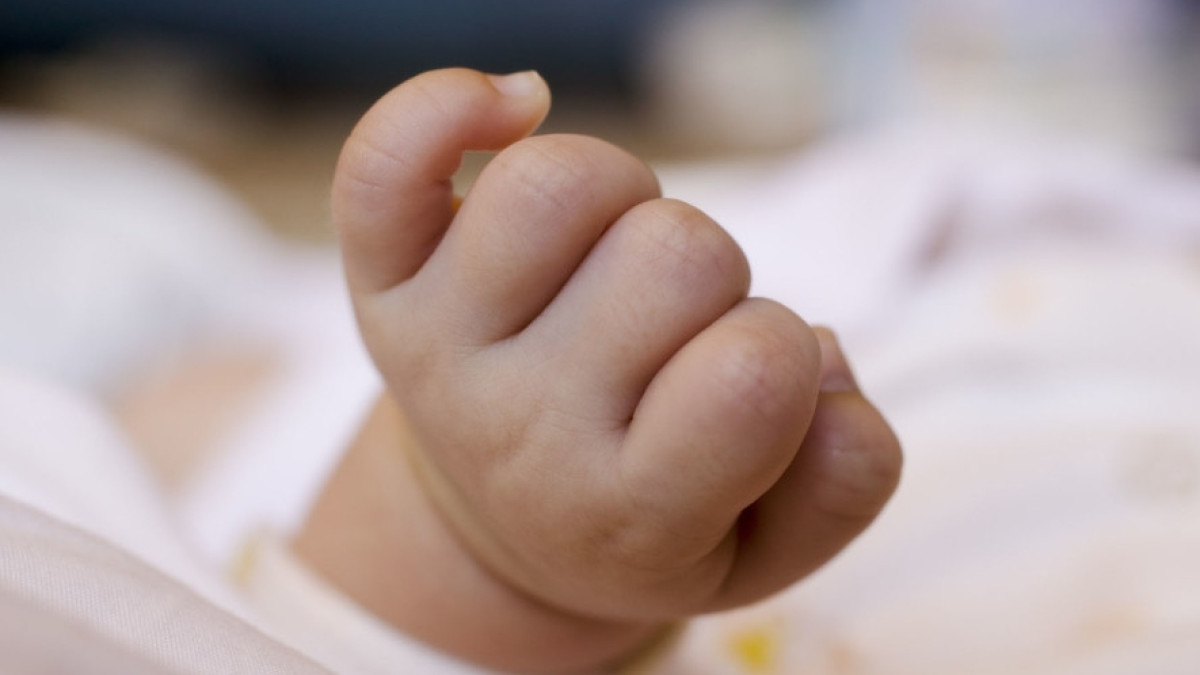  Из открытых источников