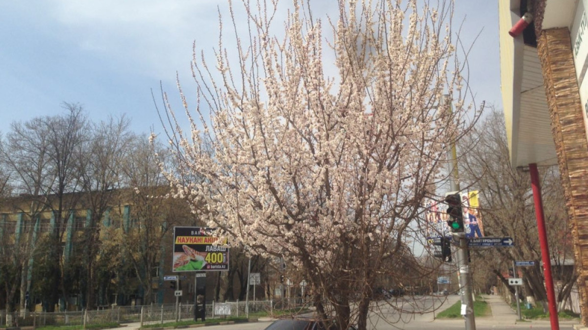  Бехрузбек Абдувалиев