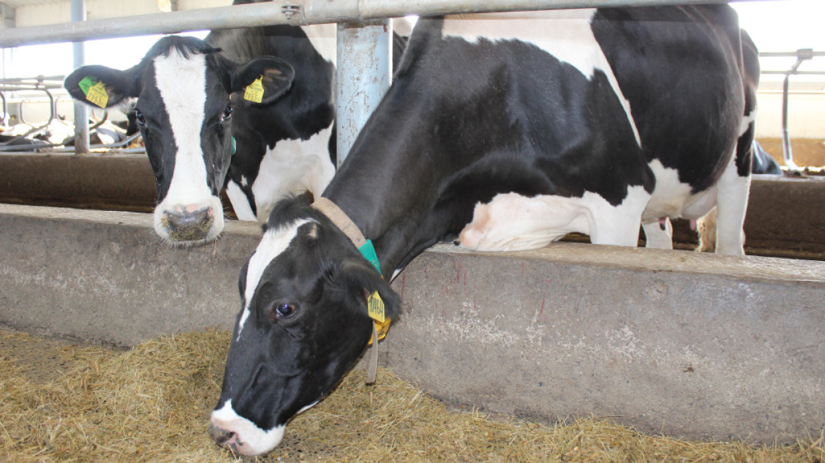  пресс-служба КазАгро