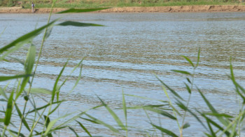 Фотография к новости: За выходные на водоёмах утонули 11 казахстанцев