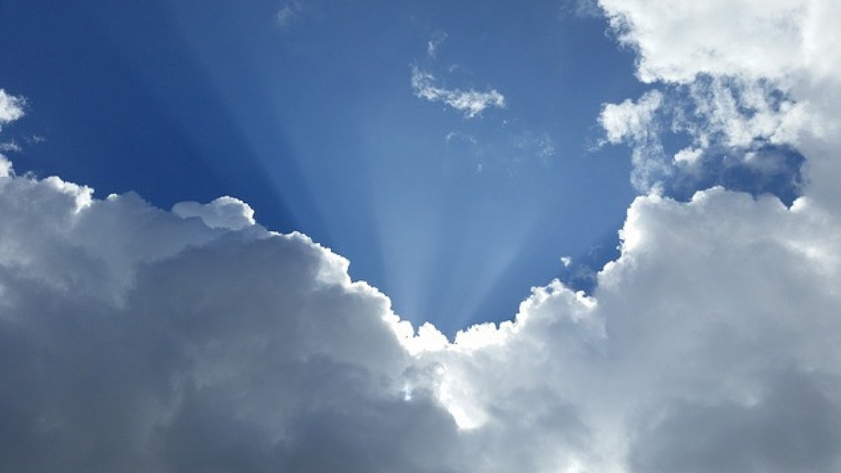  Из открытых источников 