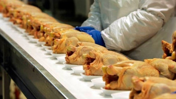 Фотография к новости: Ограничения Кыргызстана на ввоз мяса птицы из двух областей Казахстана неправомерны – МСХ