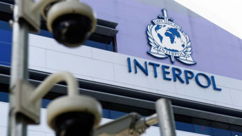 Фотография к новости: МИД Казахстана передал документы Интерполу по похищению детей алматинки