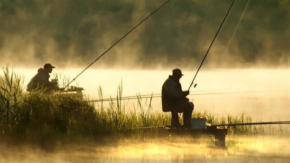  Из открытых источников