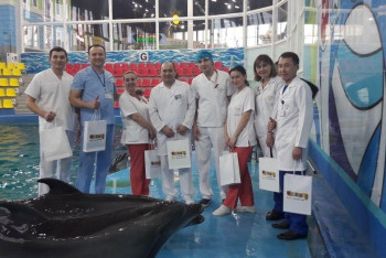 Фотография к новости: Астанинские врачи прооперировали дельфиненка, проглотившего часть мяча