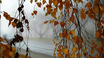 Фотография к новости: Осадки и гололед обещают синоптики 17 октября