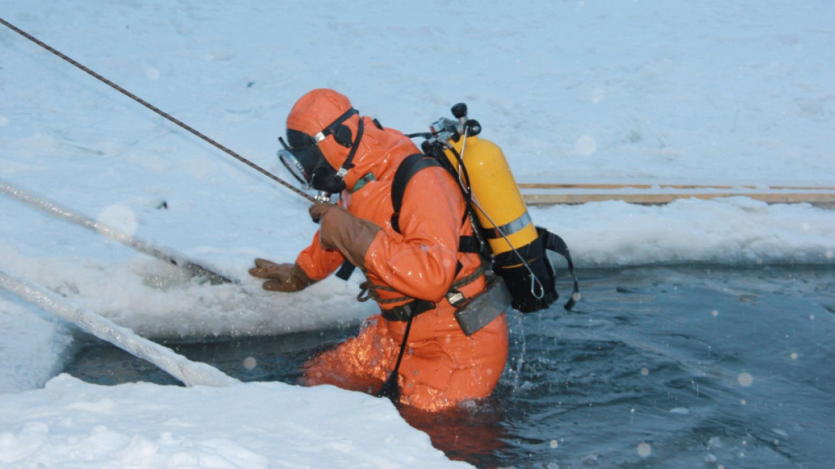  Иллюстративное фото 