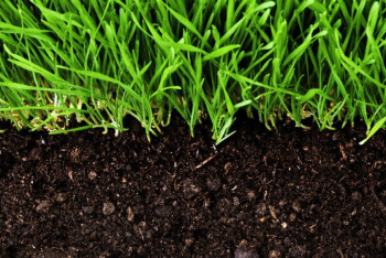 Фотография к новости: О нововведениях земельного закона рассказали в МСХ   