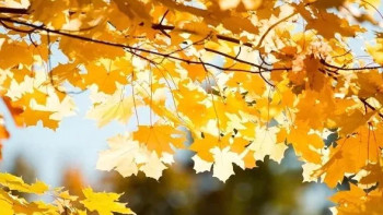 Фотография к новости: Тёплые выходные в Казахстане обещают синоптики 