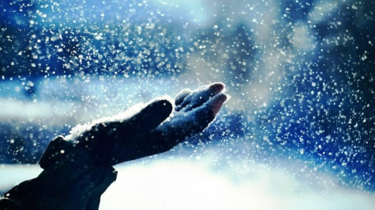  Из открытых источников