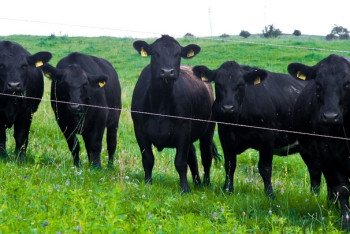 Фотография к новости: В аграрном секторе Акмолинской области реализуются инновационные научные проекты