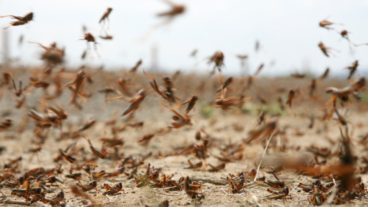  Из открытых источников