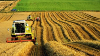 Фотография к новости: Предприниматели Зеренды о льготных условиях кредитования сельскохозяйственного бизнеса