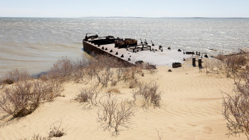 Фотография к новости: На высохшей части Аральского моря нашли пресную воду