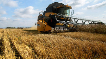 Фотография к новости: В Казахстане сократят сроки рассмотрения заявок фермеров по субсидированию 