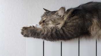 Фотография к новости: Когда дадут отопление в Астане  