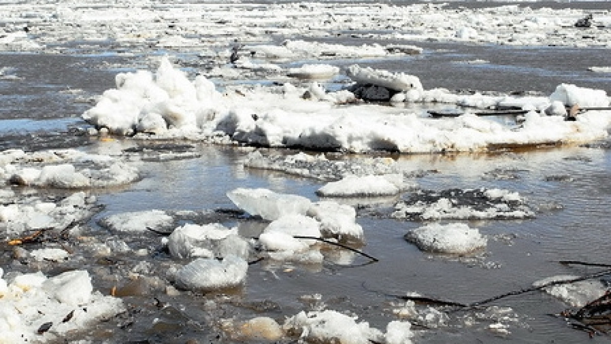  Из открытых источников 