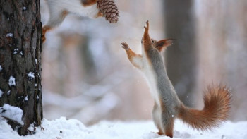 Фотография к новости: Синоптики рассказали о погоде в Казахстане 15 февраля