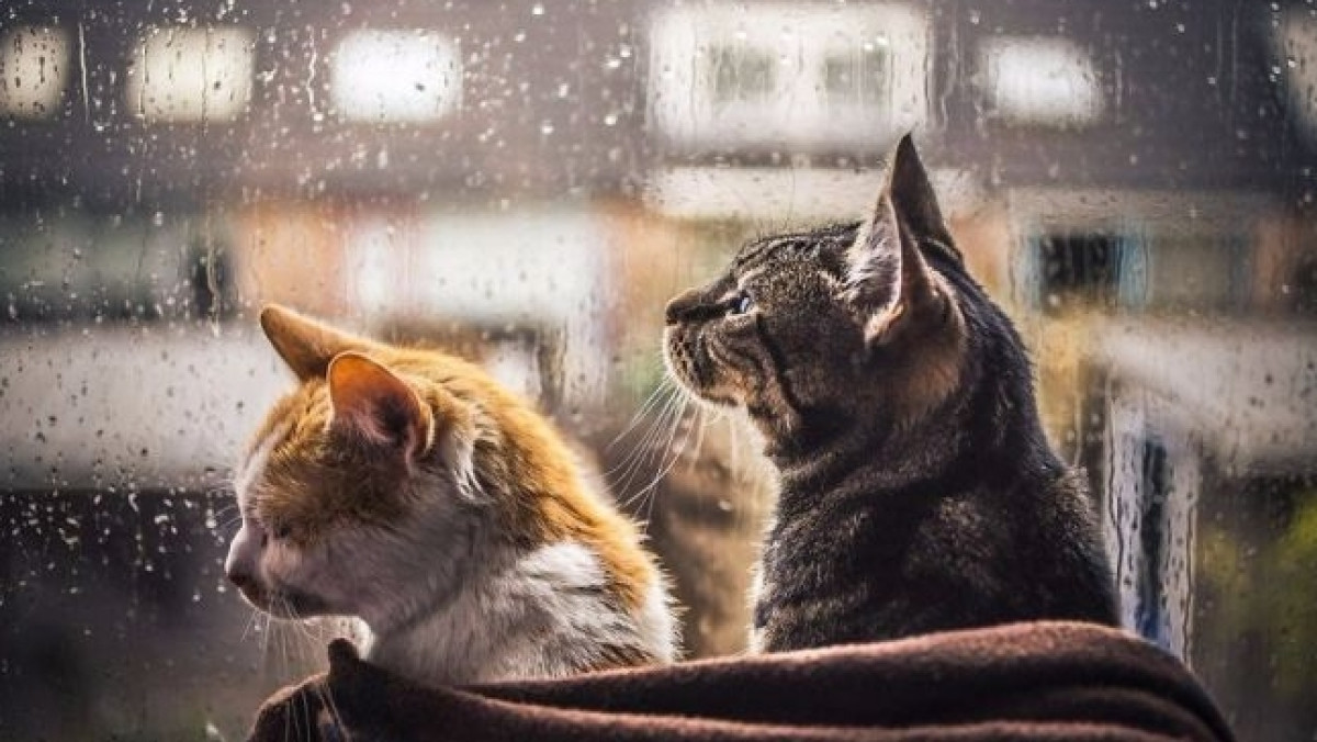  РБК-Украина