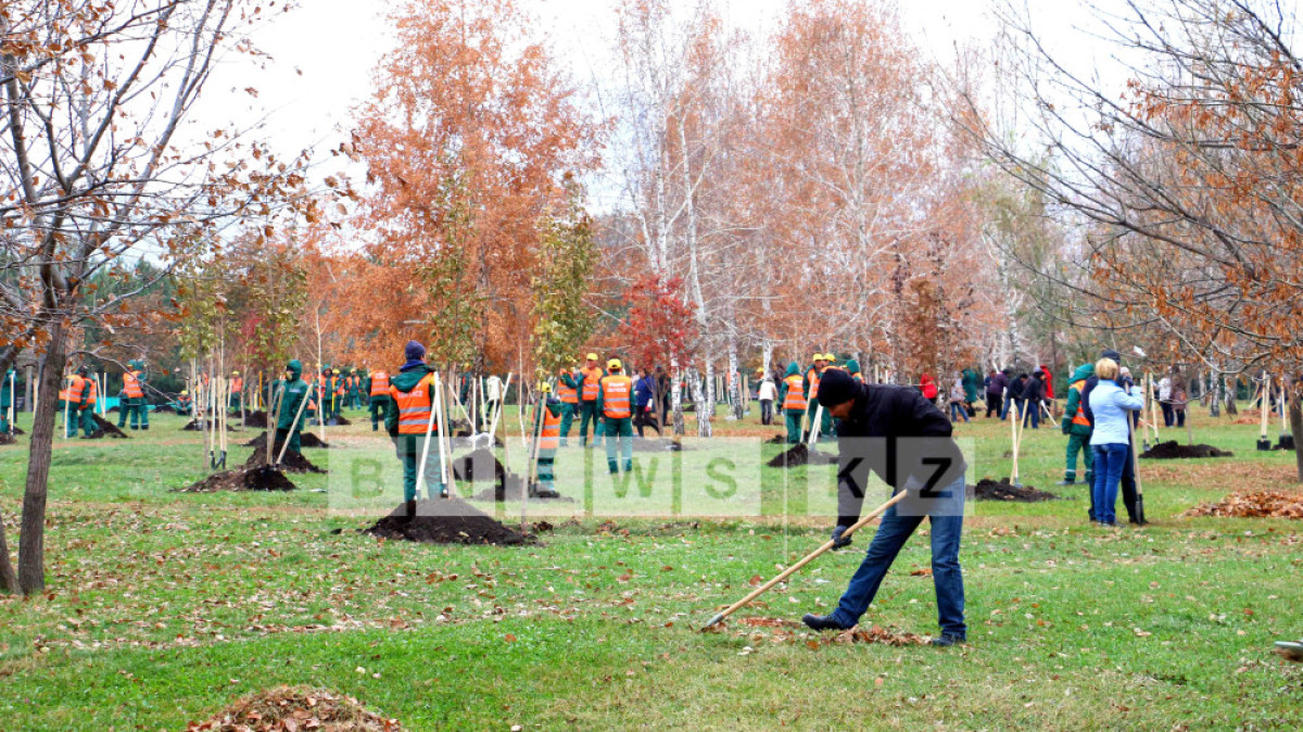  Фотоархив BNews.kz