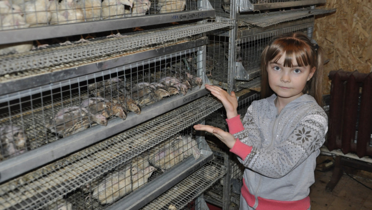  Светлана Боярская