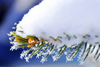 Фотография к новости: На большей части территории Казахстана сохраняется погода без осадков