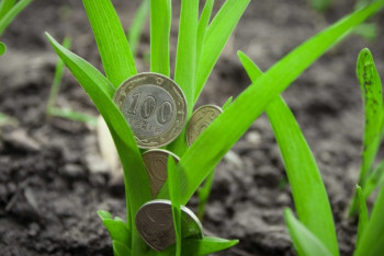 Фотография к новости: Бизнес на селе: Почему казахстанцы не должны бояться открывать свое дело в кризис