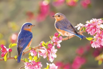 Фотография к новости: Завтра казахстанцев ожидает погода без осадков