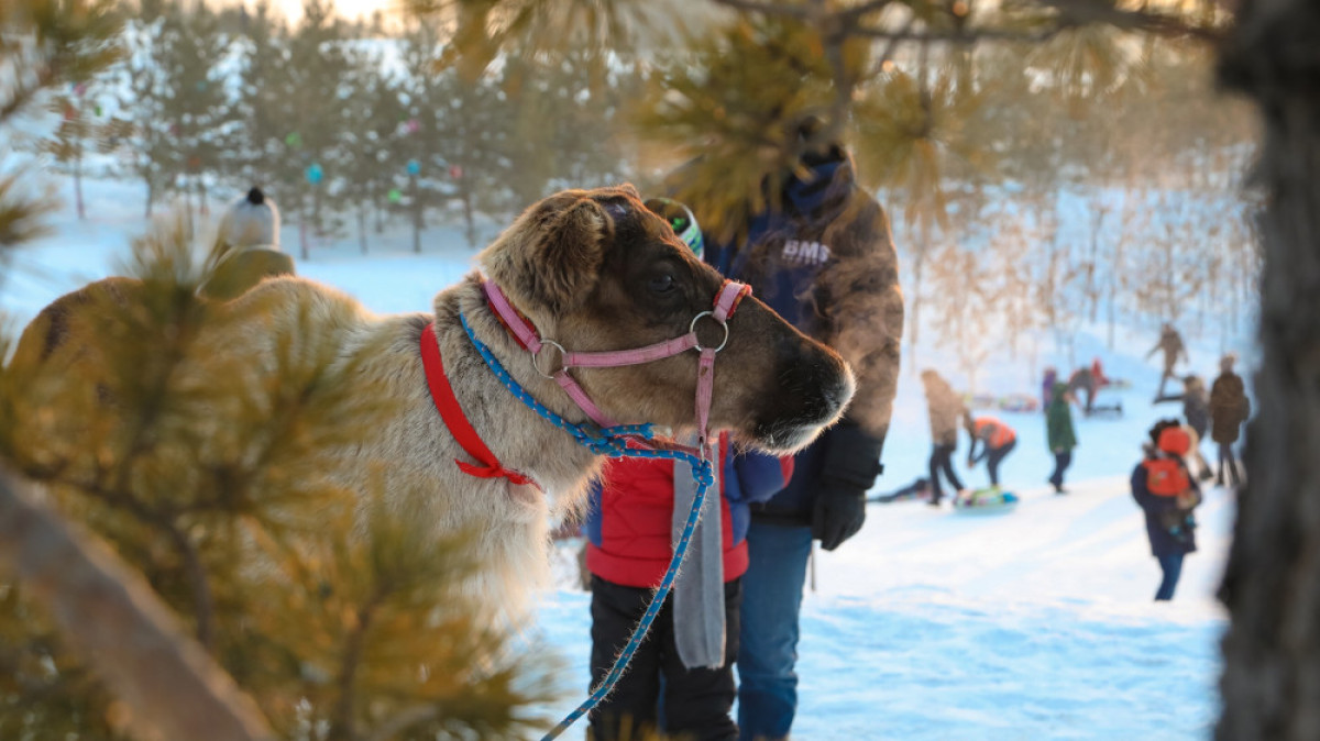  Бауыржан Жуасбаев