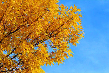 Фотография к новости: Туман и усиление ветра ожидают казахстанцев в воскресенье