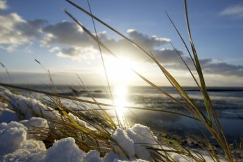 Фотография к новости: Синоптики прогнозируют погоду в Казахстане без осадков