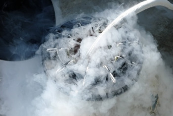 Фотография к новости: Ученые из США смогли впервые заморозить и разморозить органы без повреждения клеток