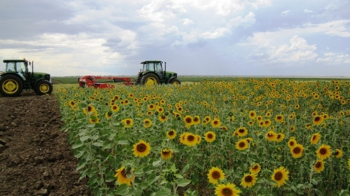  Forbes Казахстан