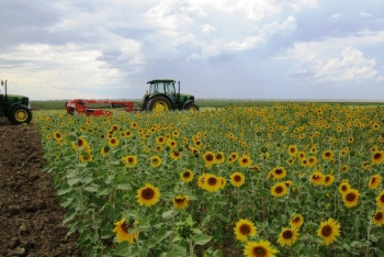 Фотография к новости: В Казахстане создано 517 кооперативов при годовом плане 326  