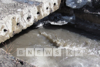 Фотография к новости: Окраину Семея затопило грунтовыми водами (ФОТО)