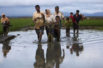 Фотография к новости: Мьянма разрешит беженцам-рохинджа вернуться в страну