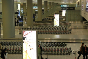 Фотография к новости: В шанхайском аэропорту отменили более 400 рейсов