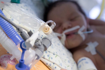 Фотография к новости: В ЮКО разыскивают двух женщин, бросивших новорожденных на улице