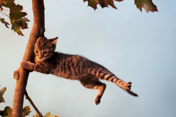 Фотография к новости: Штормовое предупреждение объявлено в нескольких областях Казахстана 