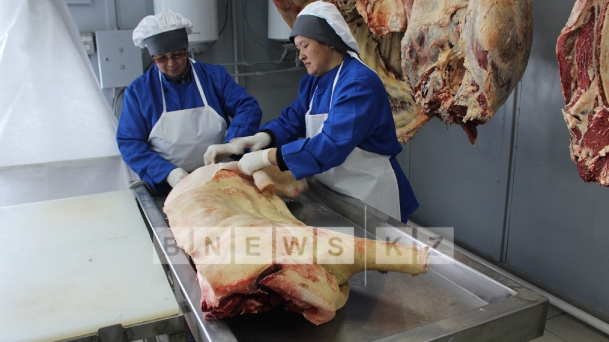  Фото: Асель Турар