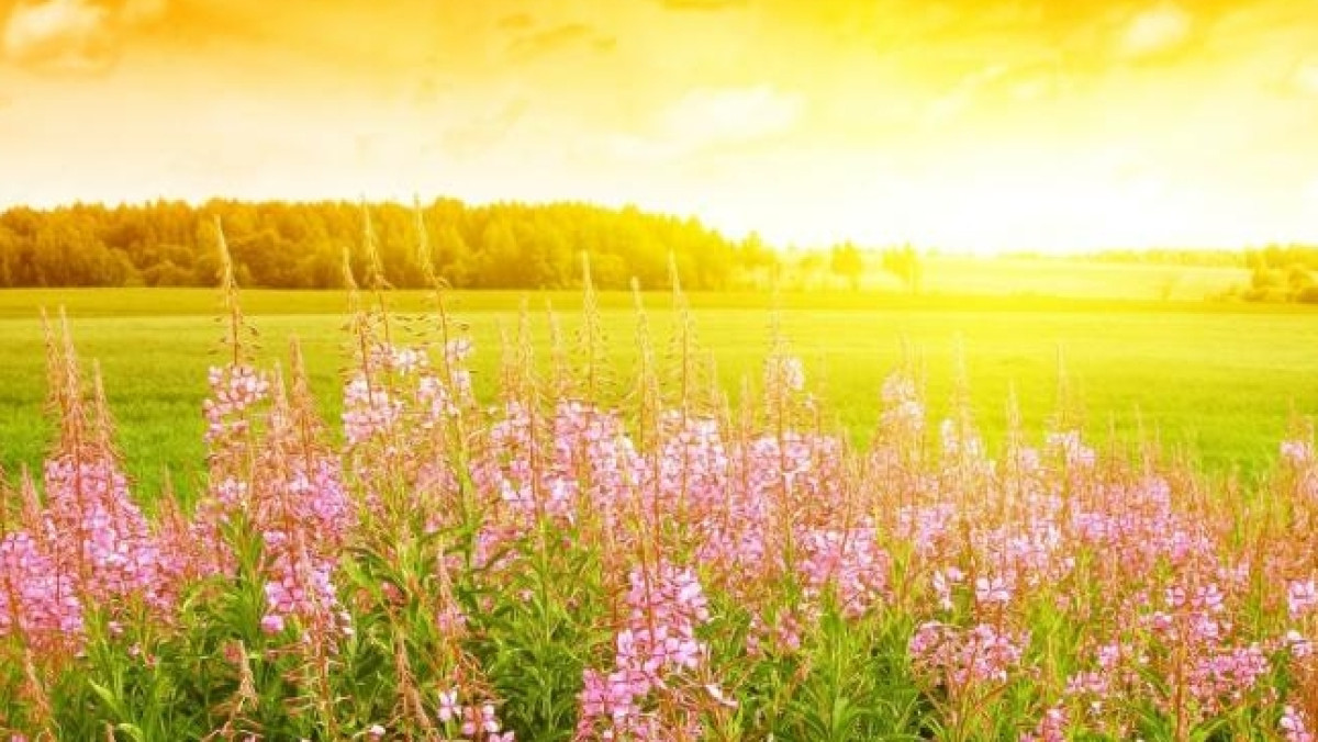  РБК-Украина